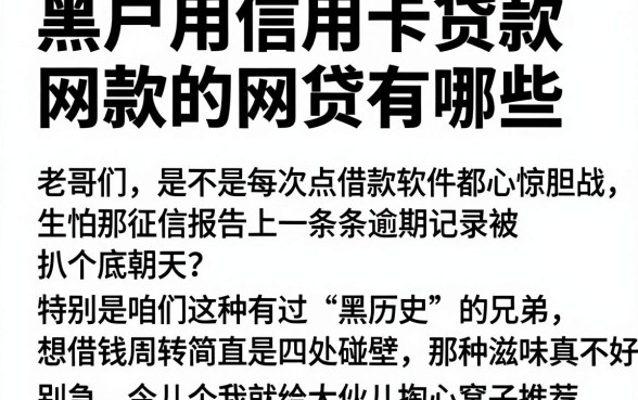 黑户用信用卡贷款的网贷有哪些,概括5个轻松贷10万的平台