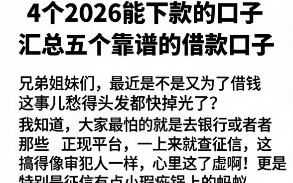 4个2026能下款的口子，汇总五个靠谱的借款口子