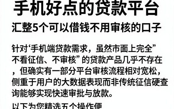 手机好点的贷款平台，汇整5个可以借钱不用审核的口子