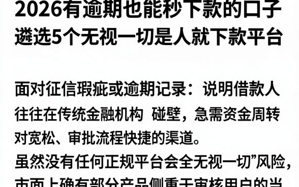 2026有逾期也能秒下款的口子,遴选5个无视一切是人就下款平台