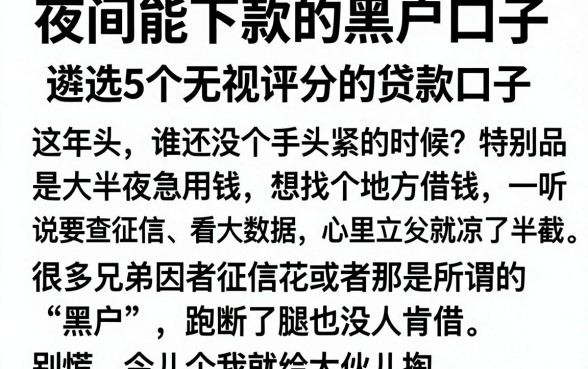 夜间能下款的黑户口子,遴选5个无视评分的贷款口子