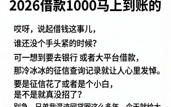 2026借款1000马上到账的,细致阐述五个看银行流水的网贷平台