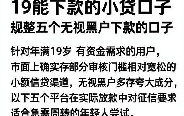 19能下款的小贷口子,规整五个无视黑户下款的口子