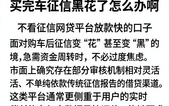买完车征信黑花了怎么办啊，概览五个不看征信网贷平台放款快的口子