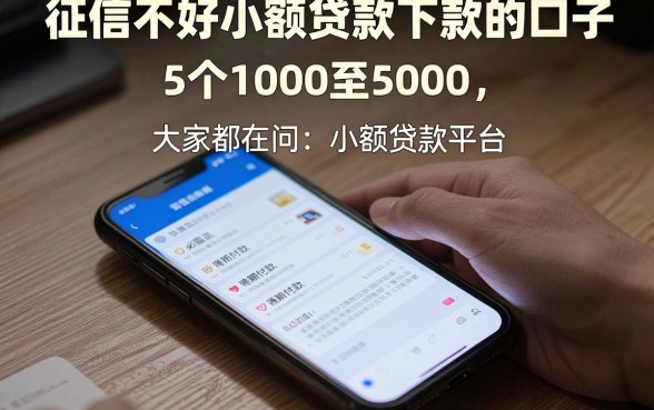 征信不好小额贷款下款的口子,归纳5个1000至5000的小额贷款平台
