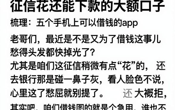 征信花还能下款的大额口子,梳理五个手机上可以借钱的app