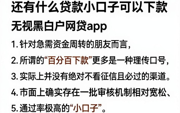 还有什么贷款小口子可以下款,胪列五个百分百下款无视黑白户网贷app