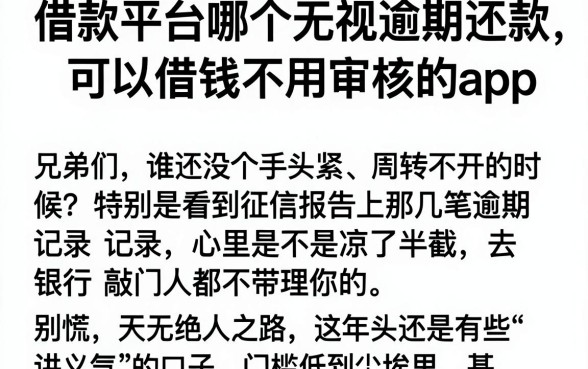 借款平台哪个无视逾期还款,深入剖析五个可以借钱不用审核的app