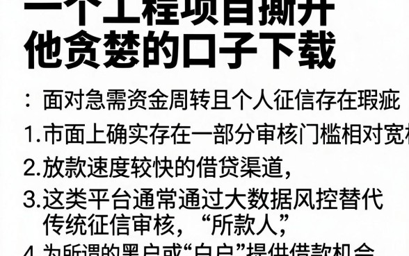 一个工程项目撕开他贪婪的口子下载,细致阐述五个无视征信黑白户秒下款的贷款