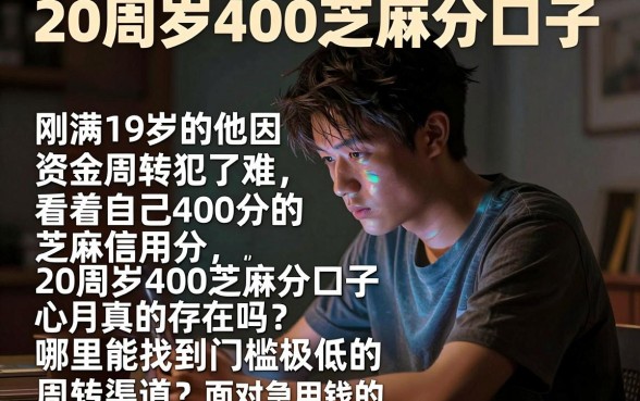 20周岁400芝麻分口子,详尽说明五个19岁贷款容易过审批的软件