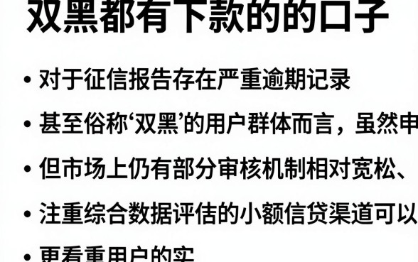 双黑都有下款的的口子,条列5个网贷黑户必过软件