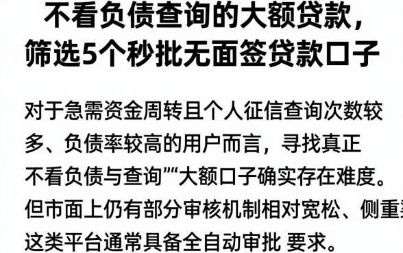 不看负债查询的大额贷款,筛选5个秒批无面签贷款口子
