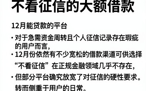 不看征信的大额借款,归纳五个12月能贷款的平台