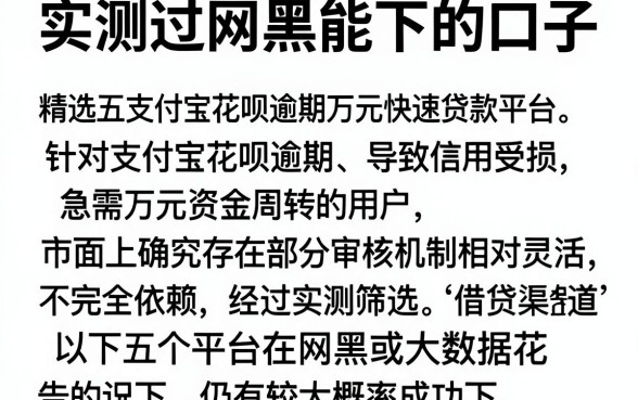 实测过网黑能下的口子，精选五个支付宝花呗逾期万元快速贷款平台