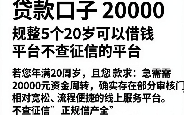 贷款口子 20000,规整5个20岁可以借钱平台不查征信的平台