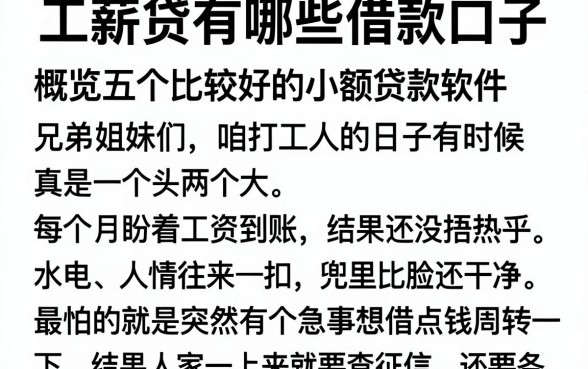 工薪贷有哪些借款口子,概览五个比较好的小额贷款软件