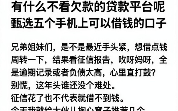 有什么不看欠款的贷款平台呢,甄选五个手机上可以借钱的口子