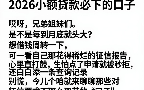 2026小额贷款必下的口子,详尽说明五个贷款不上诚信平台的软件
