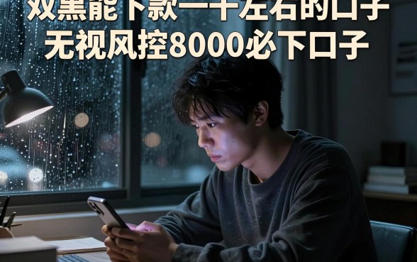双黑能下款一千左右的口子,整合五个无视风控8000必下口子