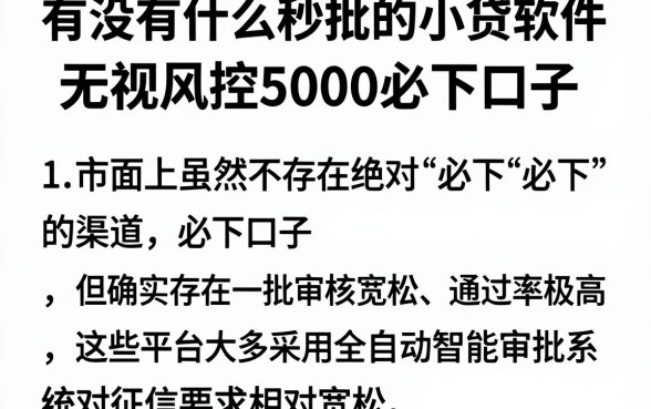 有没有什么秒批的小贷软件,规整五个无视风控5000必下口子