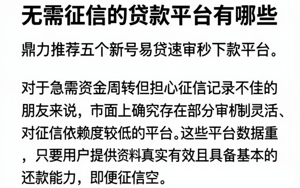 无需征信的贷款平台有哪些,鼎力推荐五个新号易贷速审秒下款平台