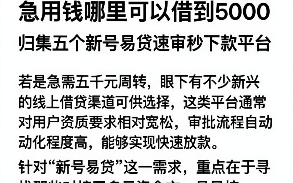 急用钱哪里可以借到5000,归集五个新号易贷速审秒下款平台