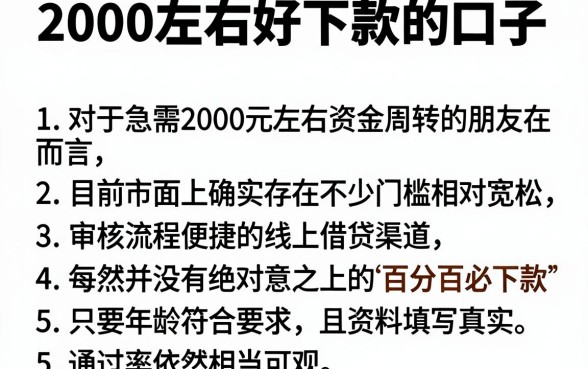 2000左右好下款的口子，罗列5个18岁必下款的网贷app