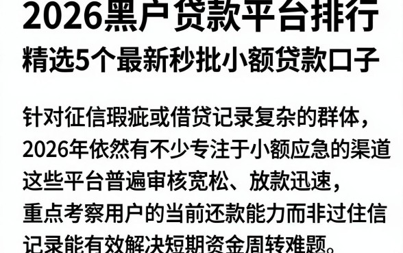 2026黑户贷款平台排行,精选5个最新秒批小额贷款口子