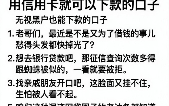 用信用卡就可以下款的口子，罗列五个无视黑户也能下款的口子