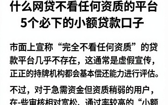 什么网贷不看任何资质的平台,概括5个必下的小额贷款口子