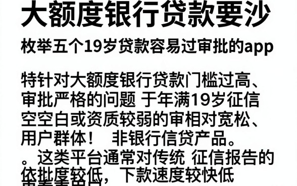 大额度银行贷款要汿，枚举五个19岁贷款容易过审批的app