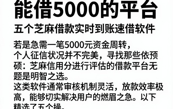 能借5000的平台,详细阐述五个芝麻借款实时到账速借软件