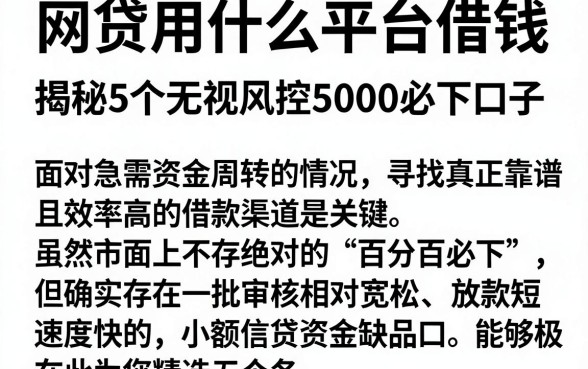 网贷用什么平台借钱，揭秘5个无视风控5000必下口子
