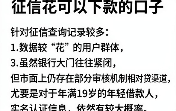 征信花可以下款的口子,详细阐述五个19岁贷款容易过审批的平台