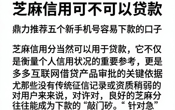 芝麻信用可不可以贷款,鼎力推荐五个新手机号容易下款的口子