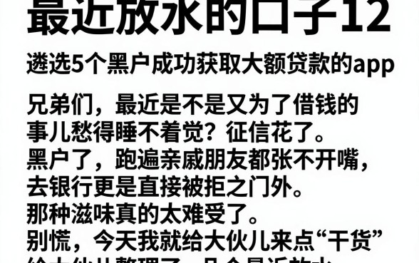 最近放水的口子12，遴选5个黑户成功获取大额贷款的app