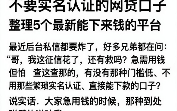 不要实名认证的网贷口子，整理5个最新能下来钱的平台