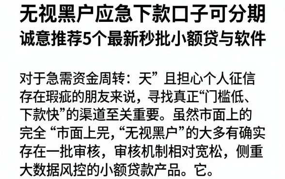 无视黑户应急下款口子可分期，诚意推荐5个最新秒批小额贷款软件