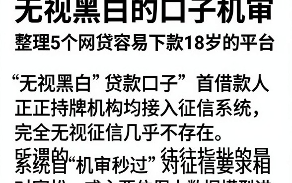 无视黑白的口子机审，整理5个网贷容易下款18岁的平台