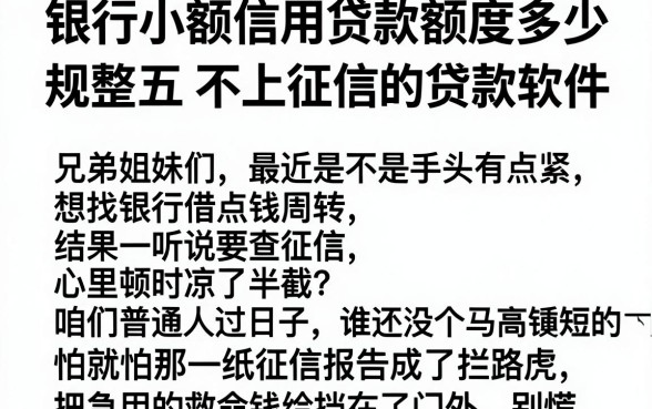 银行小额信用贷款额度多少，规整五个不上征信的贷款软件