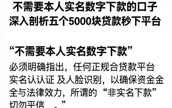 不需要本人实名数字下款的口子,深入剖析五个5000块贷款秒下平台