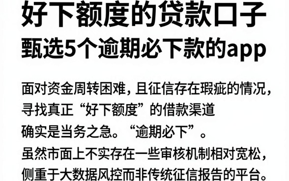 好下额度的贷款口子,甄选5个逾期必下款的app