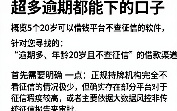 超多逾期都能下的口子,概览5个20岁可以借钱平台不查征信的软件