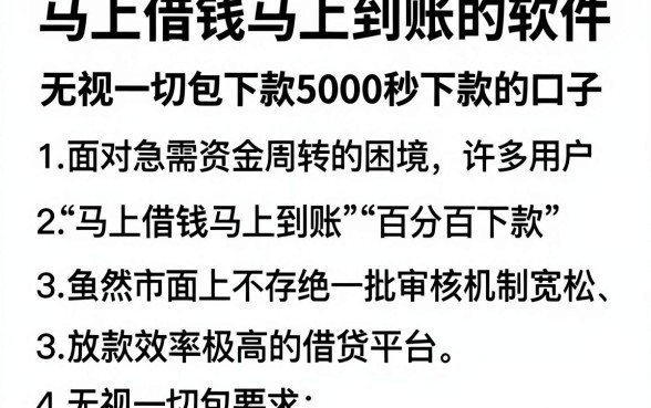 马上借钱马上到账的软件,详细阐述五个无视一切包下款5000秒下款的口子
