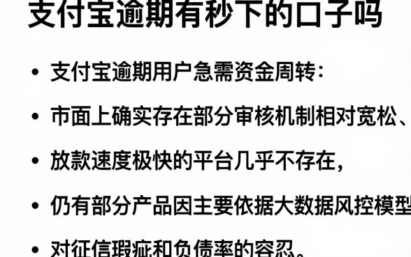 支付宝逾期有秒下的口子吗,整合五个不看负债和征信的平台