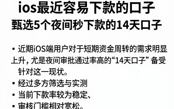 ios最近容易下款的口子，甄选5个夜间秒下款的14天口子