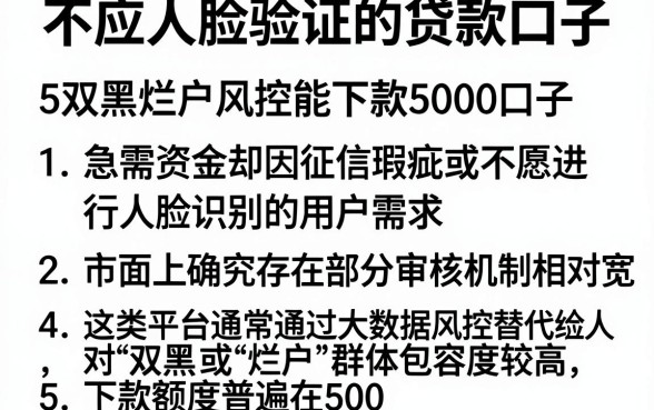 不应人脸验证的贷款口子，概括5个双黑烂户风控能下款5000口子