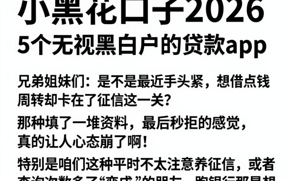 小黑花口子2026，深入剖析5个无视黑白户的贷款app