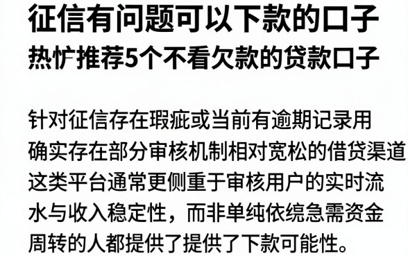 征信有问题可以下款的口子,热忱推荐5个不看欠款的贷款口子