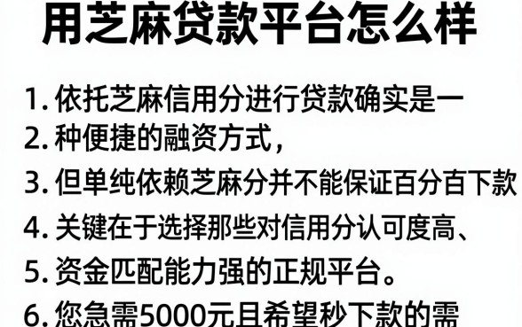 用芝麻贷款平台怎么样,胪列五个5000块贷款秒下软件